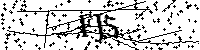 Будь ласка, введіть літери та цифри нижче